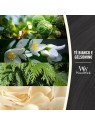 WoodWick Vaso Bianco T e Gelsomino White Tea and Jasmine