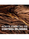 LOral Paris MEN EXPERT BARBER CLUB crema definidora 75ml uomo