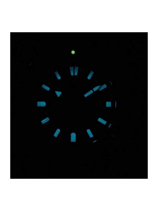 Citizen Promaster BN0201-88L acquista 