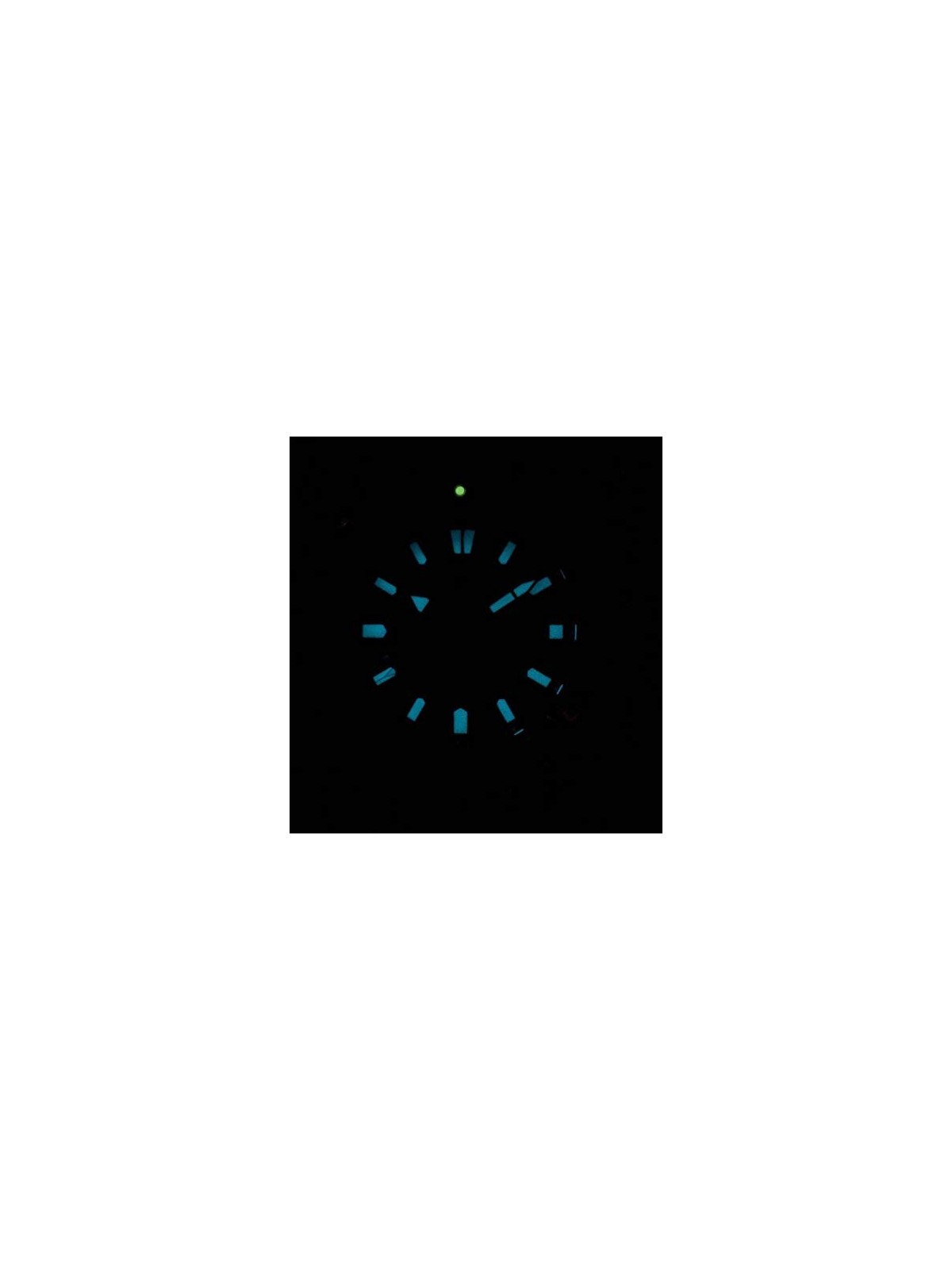 Citizen Promaster BN0201-88L acquista 