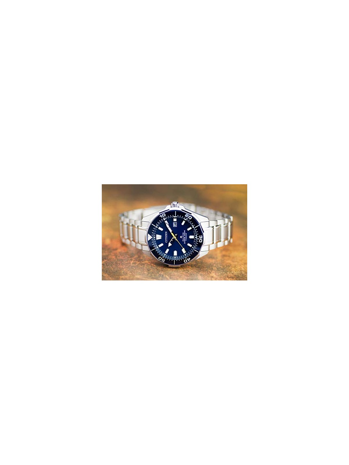 Citizen Promaster BN0201-88L acquista 