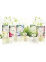 Sapone naturale da toeletta NESTI DANTE Aqua Dea Marine