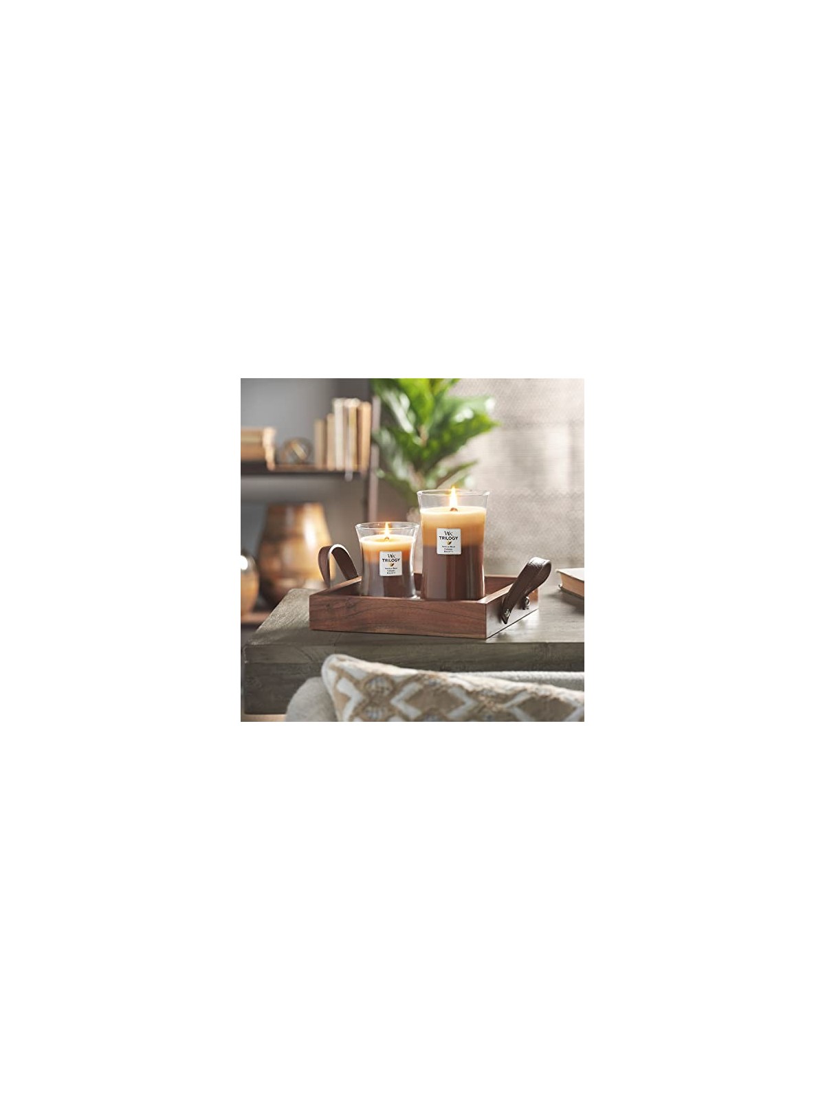 Cafï¿½ï¿½ Sweets Trilogy Vase 6095g Unisex