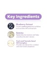 Tonico idratante ai mirtilli Frudia BLUEBERRY 195ml