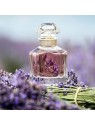 Guerlain Mon Guerlain Eau de Toilette 50ml