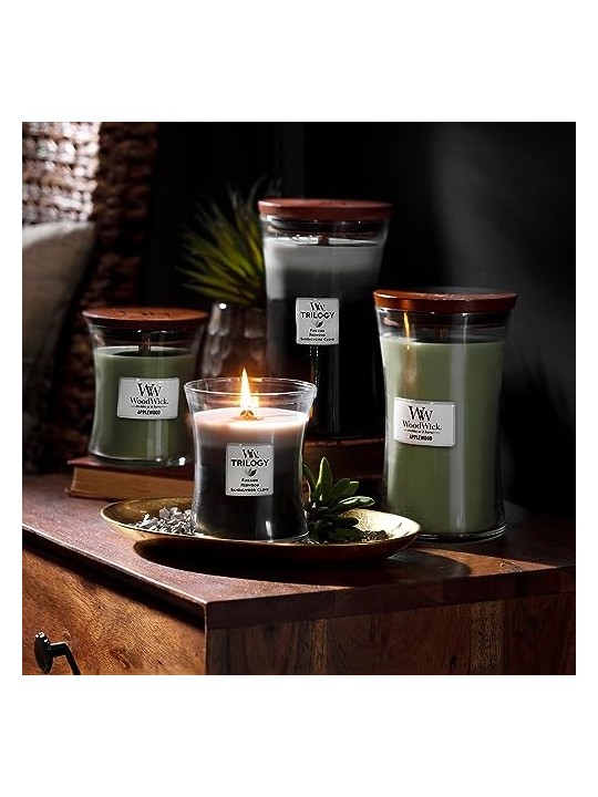 Candela profumata WoodWick Trilogy Warm Woods 275 g