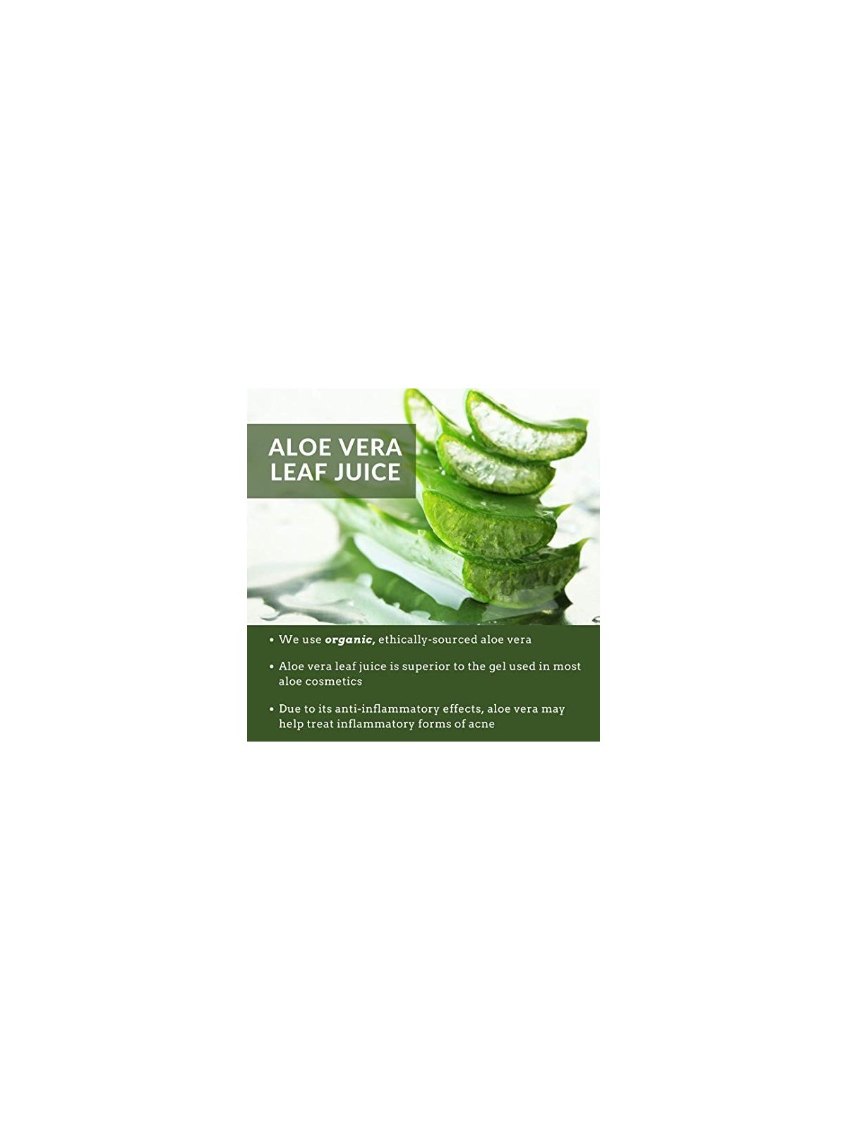 Aloe Crema notte biologica 50ml