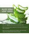 Aloe Crema notte biologica 50ml