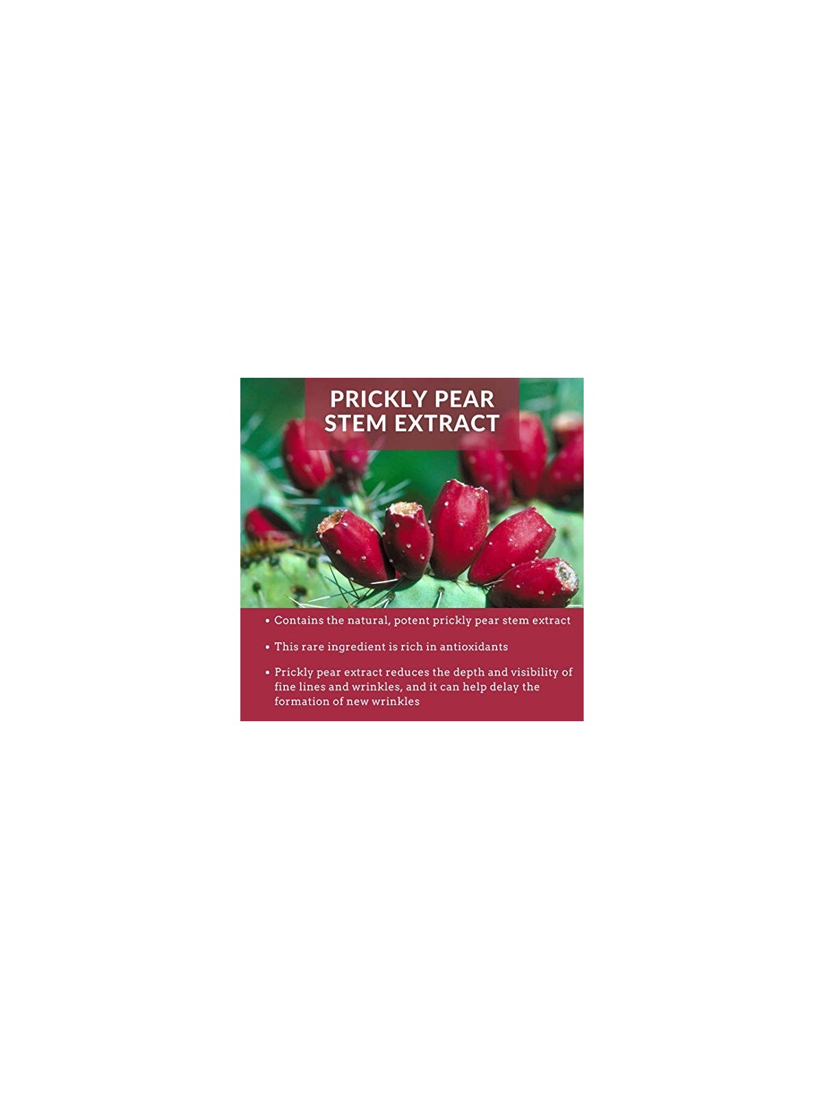 Aloe Crema notte biologica 50ml