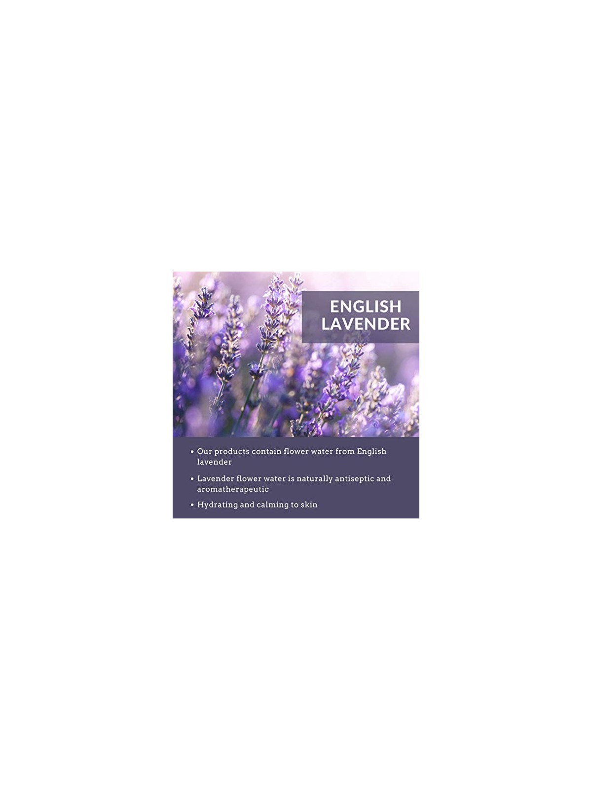 Aloe Crema notte biologica 50ml