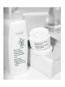 Ziaja Crema viso all'avocado 50ml