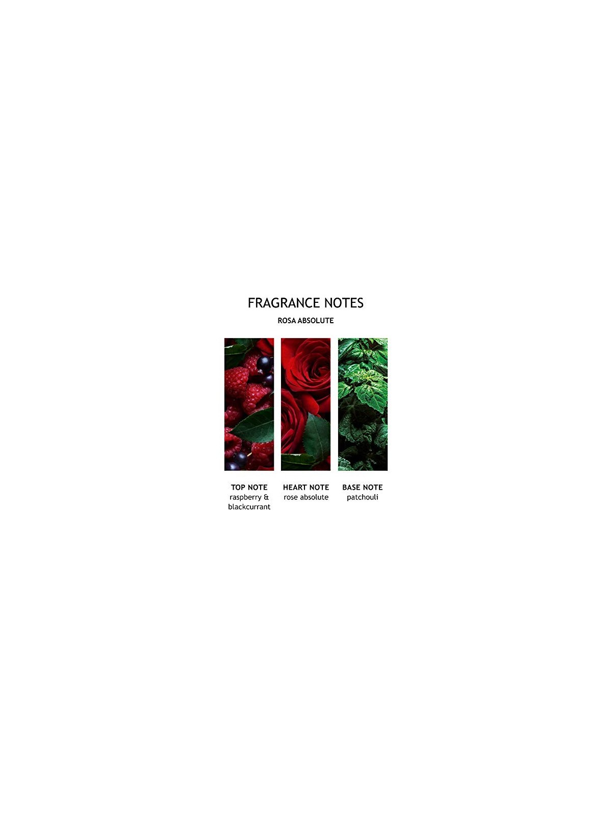 Absolute Rose Eau De Toilette 100ml per donna