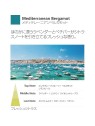 Diffusore di Aroma Bergamotto Mediterraneo Millefiori