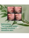 Crema miracolosa Some By Mi AHA-BHA-PHA 30 giorni 60 ml