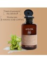 Apivita Shampoo Antiforfora Ecopack 500ml