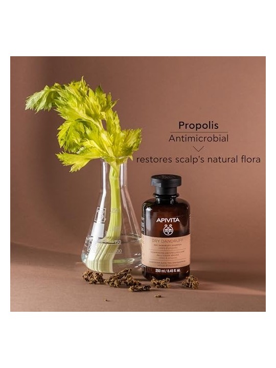 Apivita Shampoo Antiforfora Ecopack 500ml