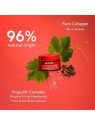 Apivita BEEVINE ELIXIR Intensive Night Recovery Cream 50ml
