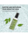 Lozione Benton Deep Green Tea 120 ml