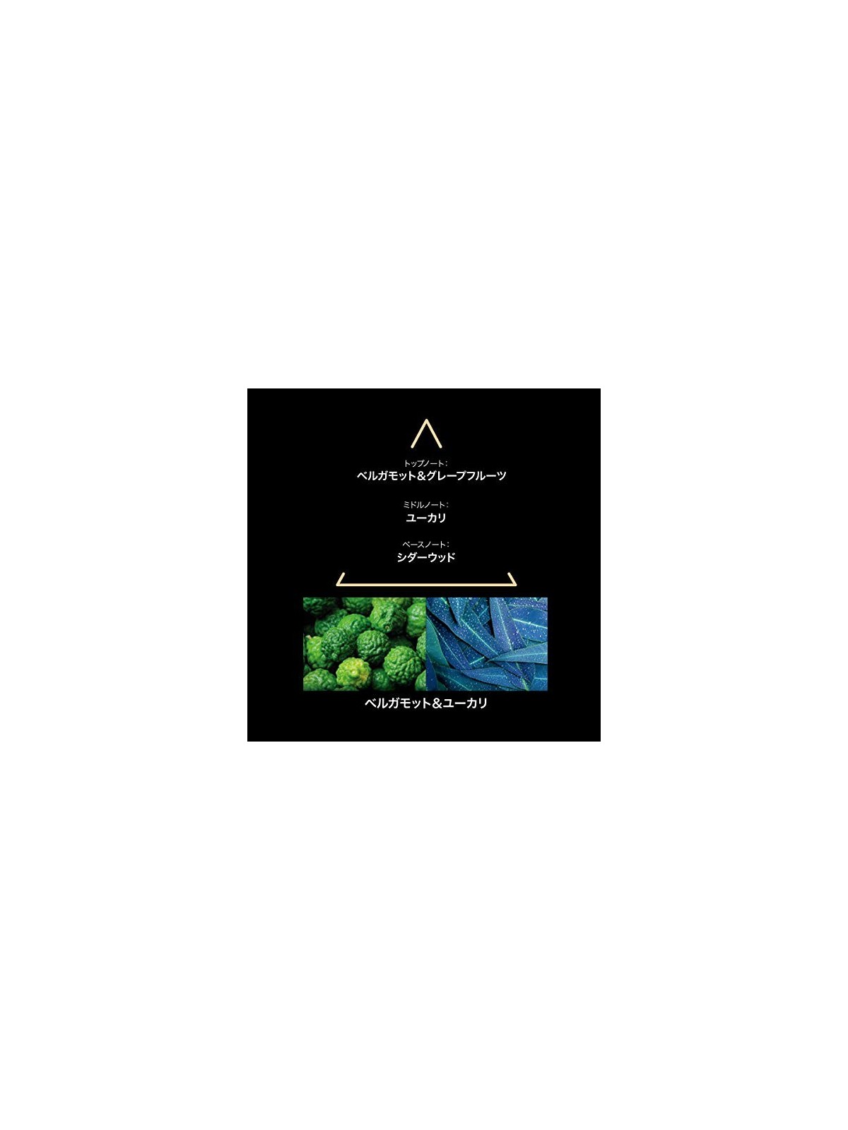 Profumo unisex Le Couvent Maison de Parfum Remarquabili Santa Cruz Eau De Parfum100ml