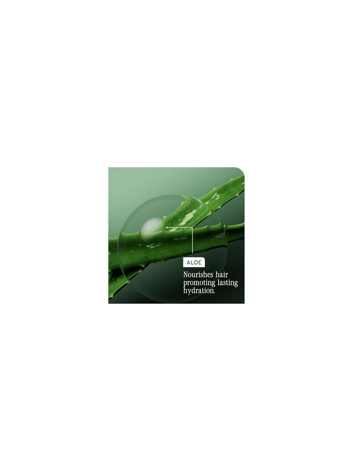 Biolage Matrix Hydra Source Pack Trattamento Profondo Maschera per Capelli Secchi Donna 100ml: idratazione intensa per capelli s