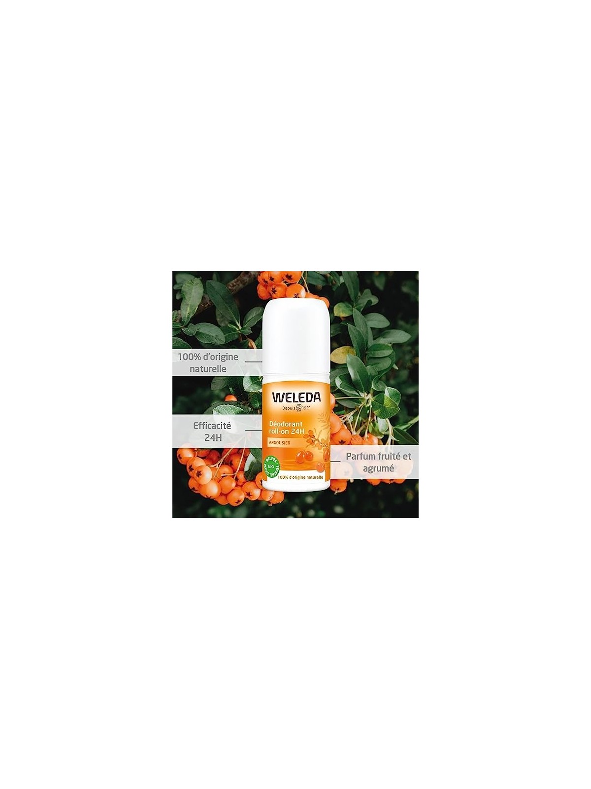 Weleda Sea Buckthorn 24H Roll-On Deodorant unisex 50ml