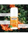 Weleda Sea Buckthorn 24H Roll-On Deodorant unisex 50ml