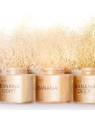 Makeup Revolution Lievito in polvere Polvere sciolta 32 g donna Banana Deep