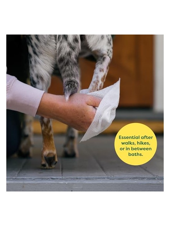 Earth Rated PET WIPES bio senza profumo 100 unitï¿½ï¿½
