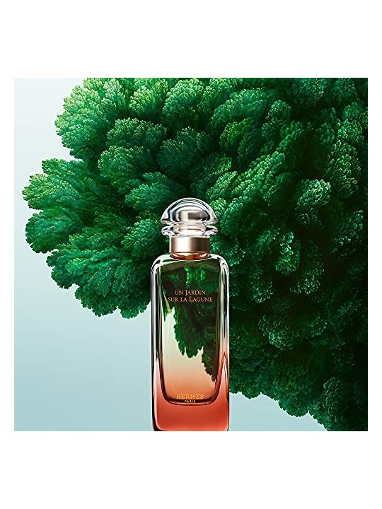Eau de Toilette uomo Hermes Paris Jardin sur la Lagune 100ml