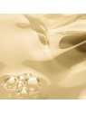 Melvita OLIO DI BELLEZZA olio di ricino 50ml donna