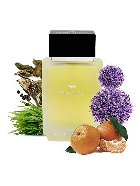 Saint Hilarie Iris Absolu eau de parfum uomo 100ml