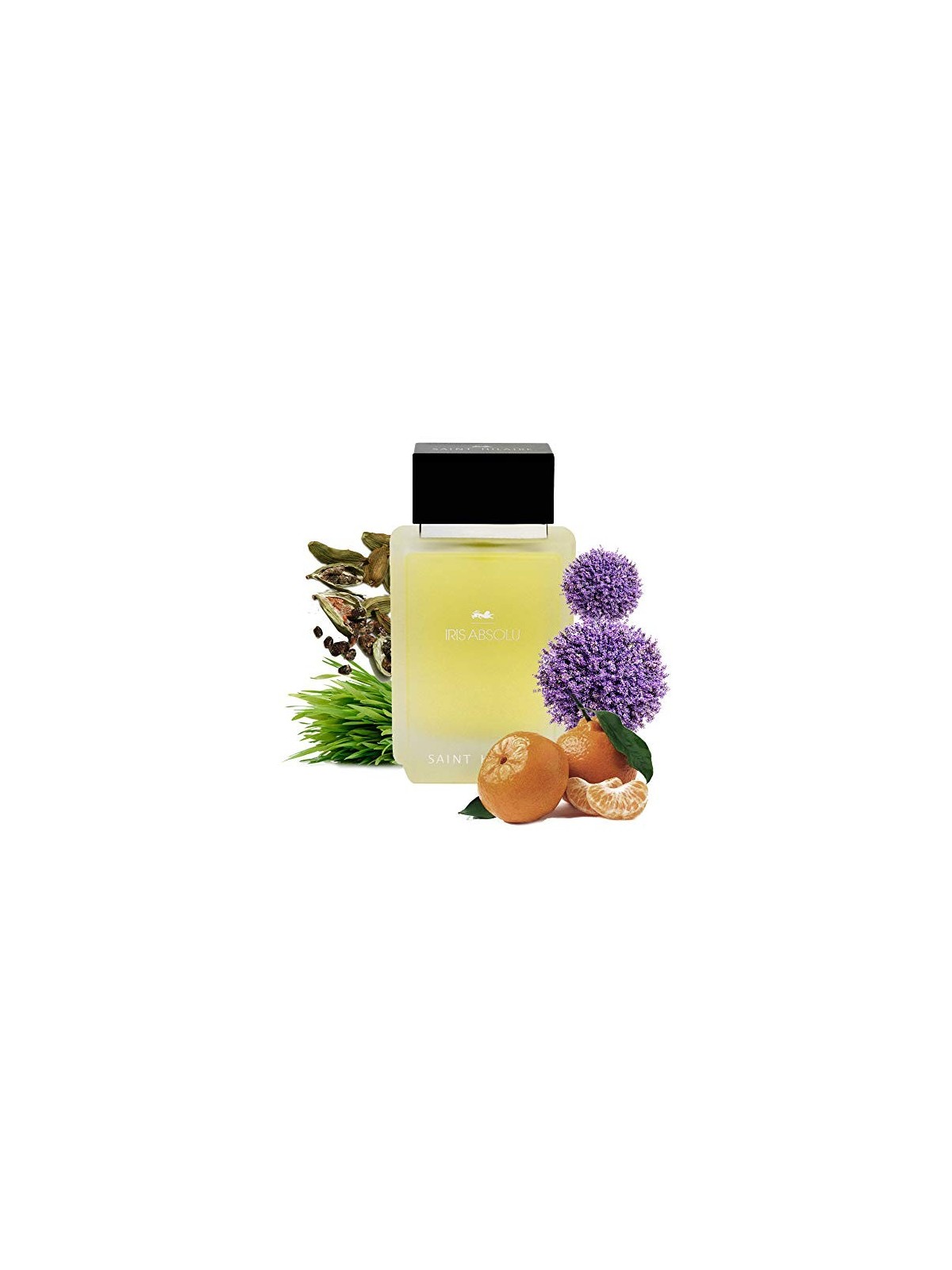Saint Hilarie Iris Absolu eau de parfum uomo 100ml