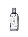 Etro Raving eau de toilette unisex 100ml