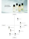 Aqua Sacrae EDC spray 50ml