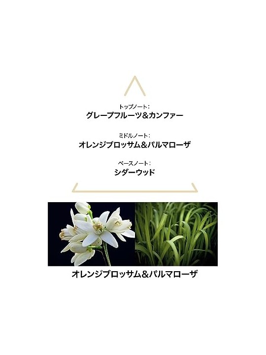 Aqua Mysteri EDC 50ml Unisex Fragrance