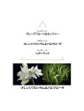 Aqua Mysteri EDC 50ml Unisex Fragrance