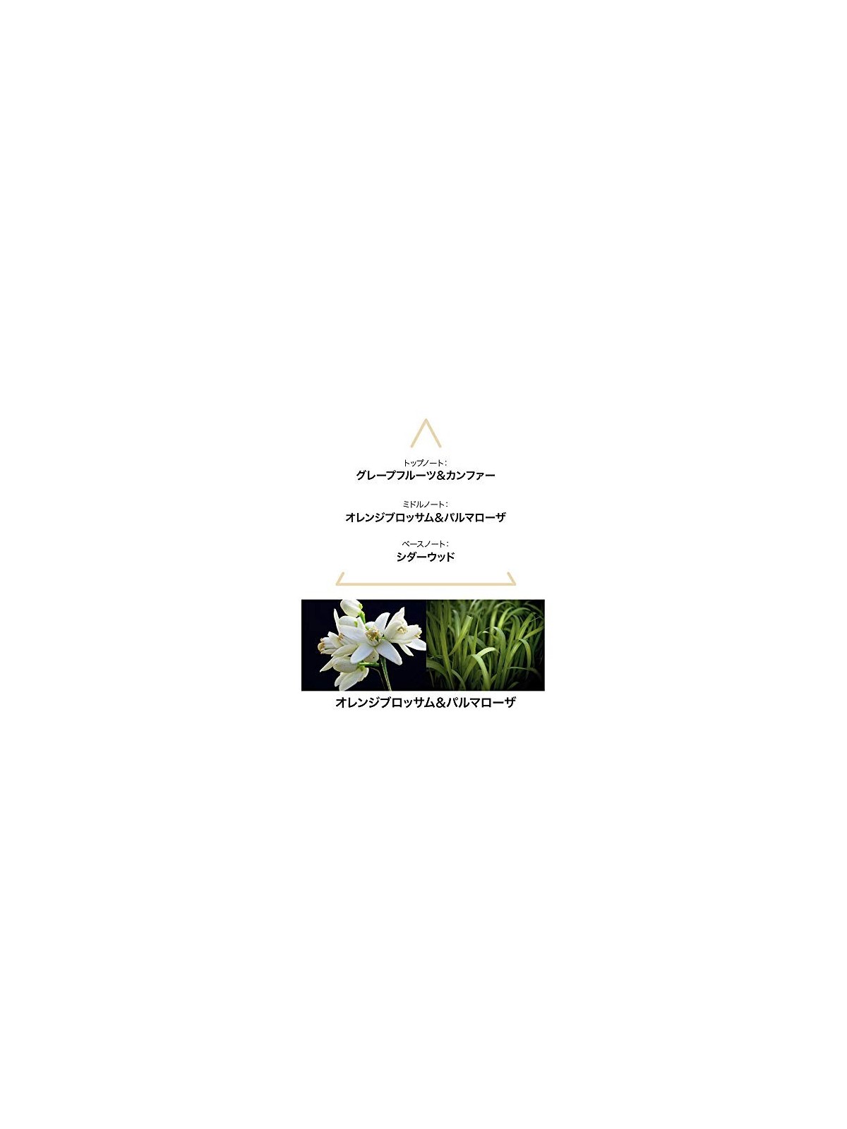 Aqua Mysteri EDC 100ml Unisex Cologne