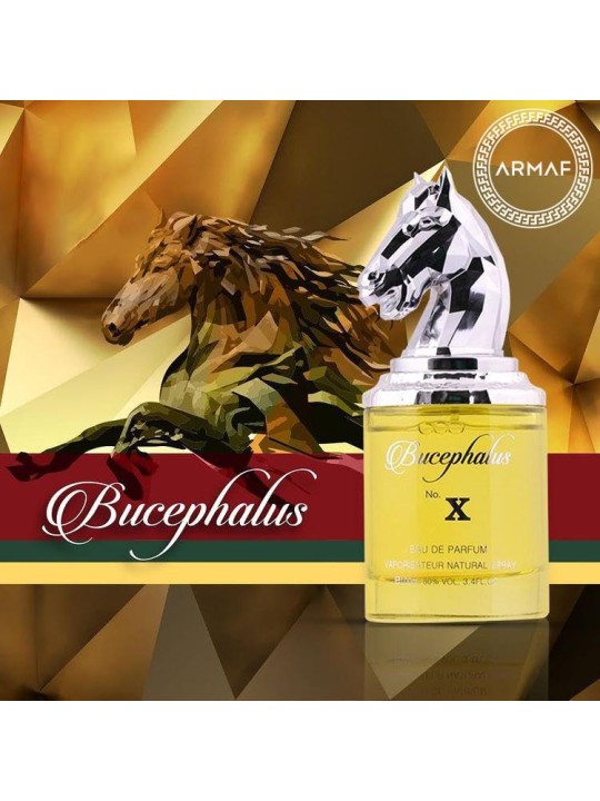 Armaf Bucephalus No. X Eau De Parfum 100 ml man