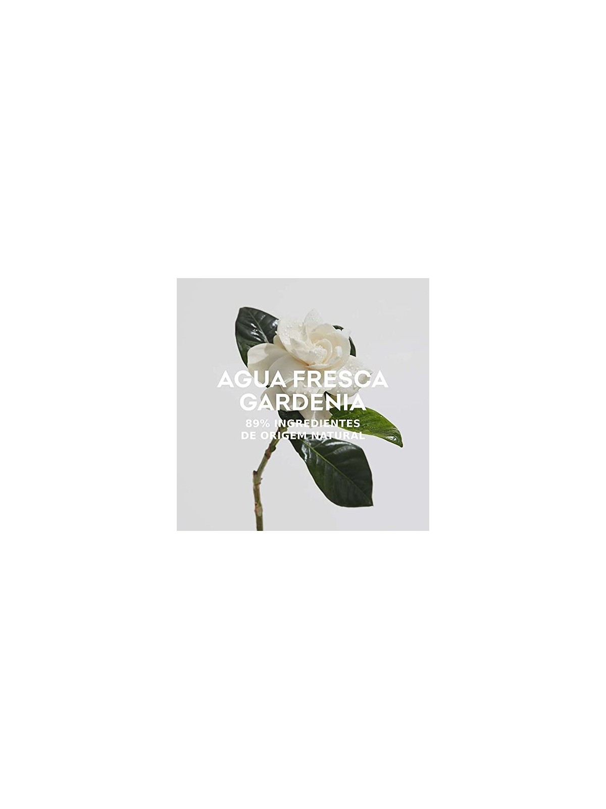 Adolfo Dominguez Agua Fresca de Gardenia Musk EDT 120ml