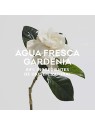 Adolfo Dominguez Agua Fresca de Gardenia Musk EDT 120ml