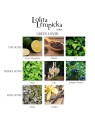 Lolita Lempicka Green Lover eau de toilette Spray uomo 100ml