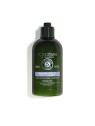 Loccitane Aromachology Gentle Balance Conditioner Balsamo per il naturale equilibrio del cuoio capelluto donna 250ml