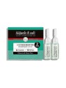 Regenerador Capilar Nuggela & Sulï¿½ï¿½ 2 fiale x 10ml
