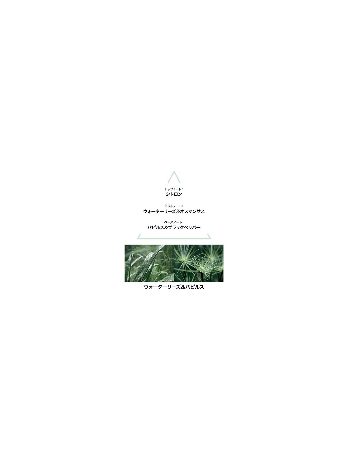 Le Couvent Maison de Parfum Aqua Nymphae Eau de Colonia Unisex 50ml