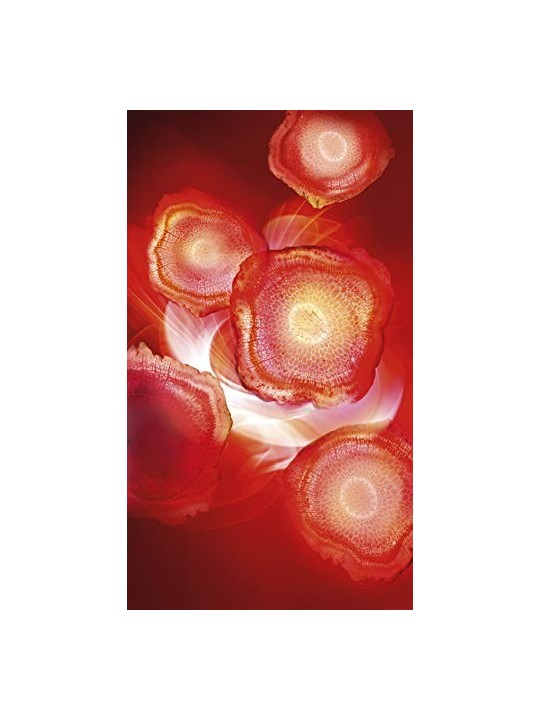 Crema giorno energizzante 50ml donna