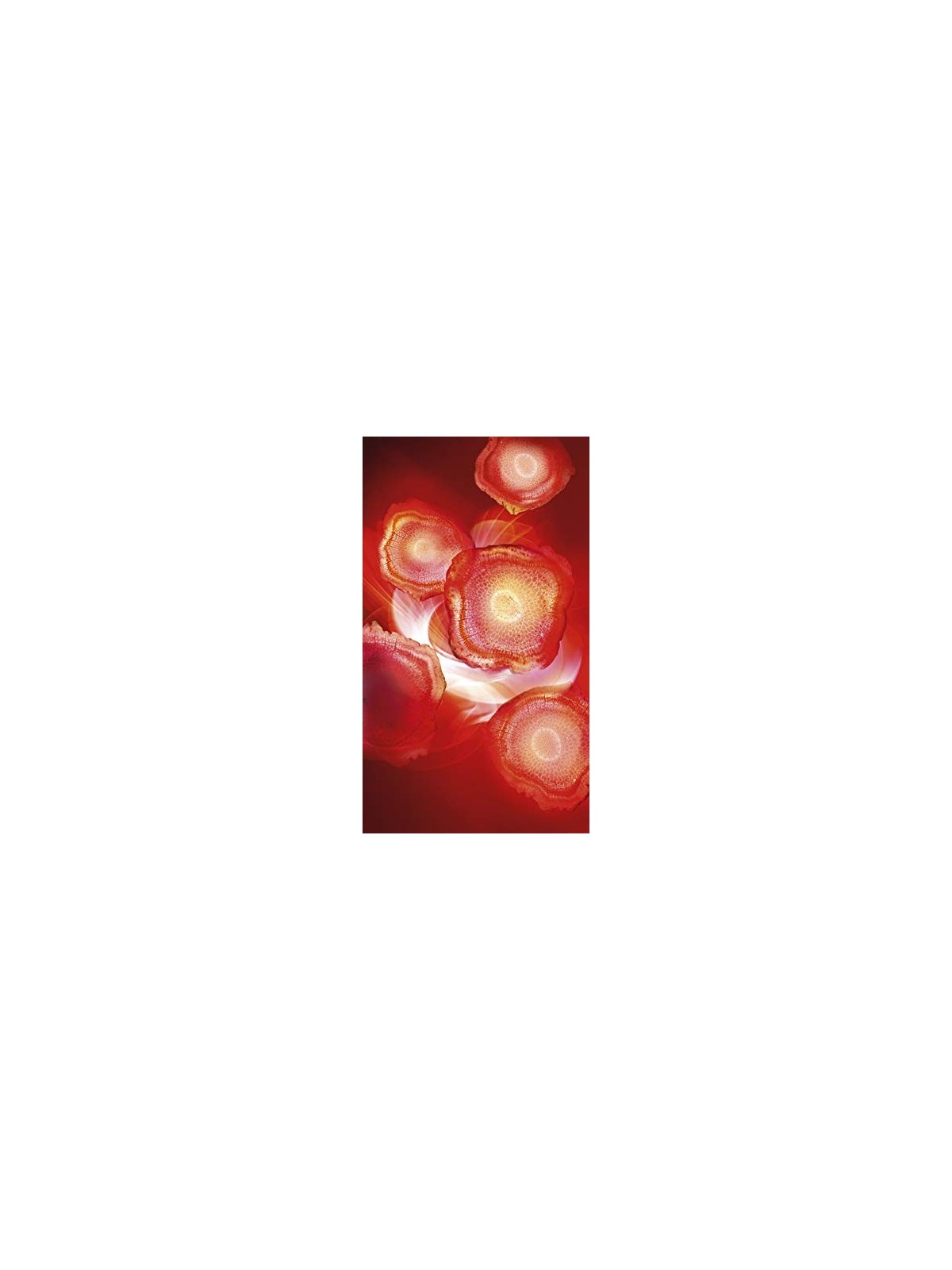 Crema giorno energizzante 50ml donna