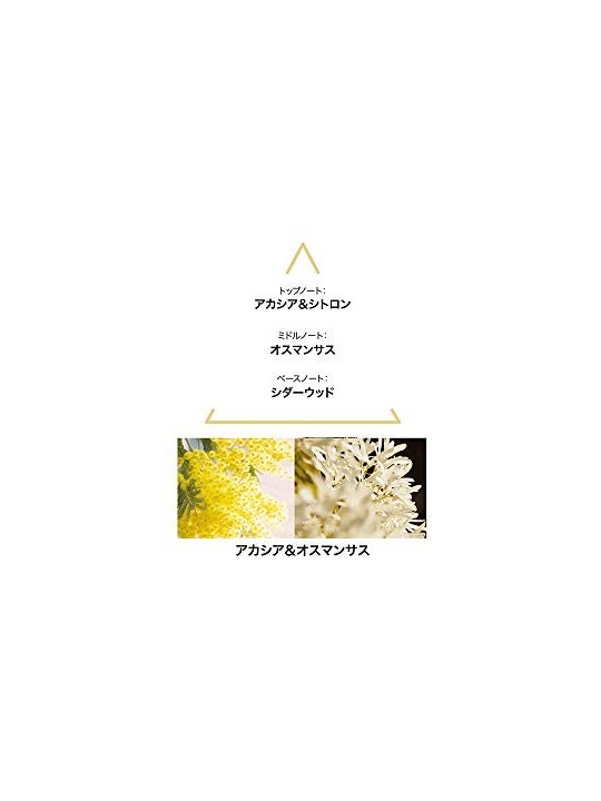 Aqua Majestae EDC 100ml Unisex Fragrance