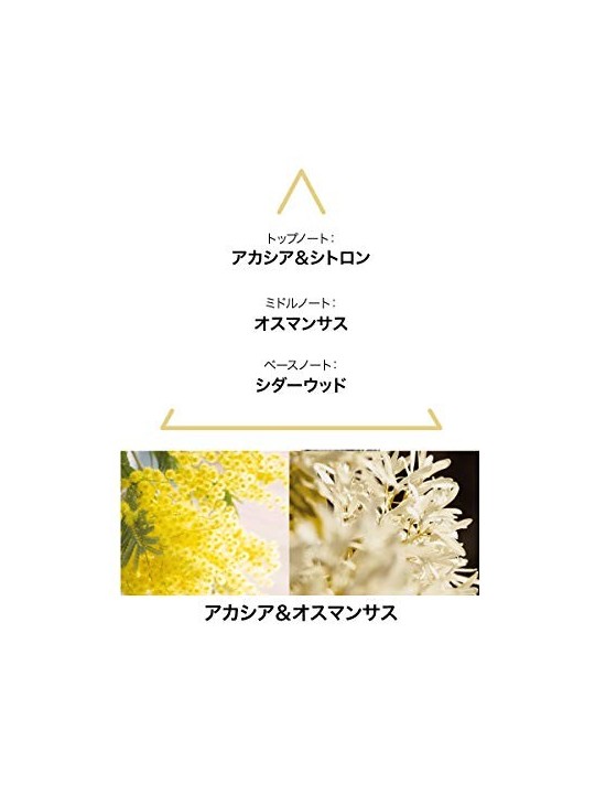 LCDM Aqua Majestae Botanical Cologne Spray 50ml