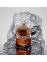 Afnan Portrait Revival Extrait de parfum 100 ml unisex