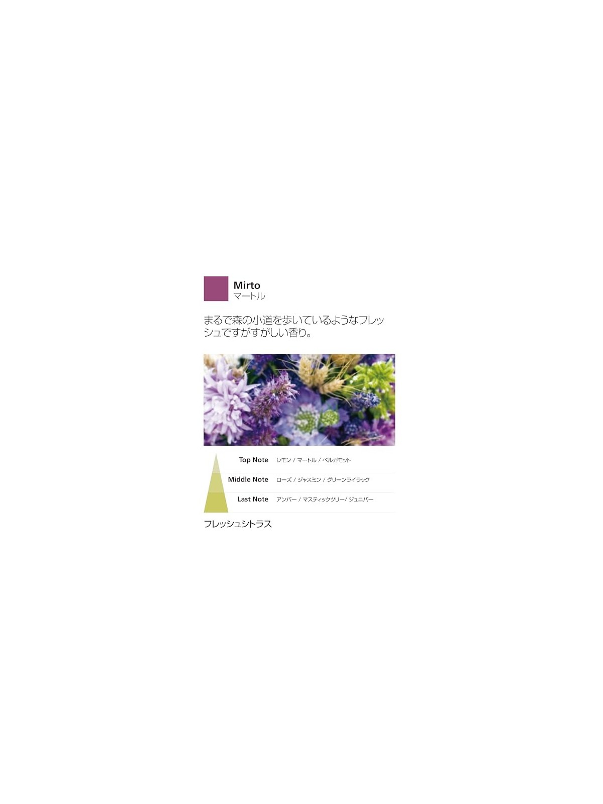 Ricarica Diffusore a Bastoncino 100ml Mirto